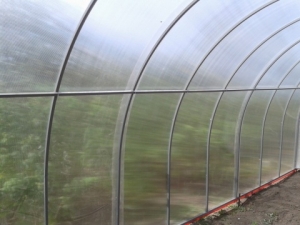 Теплица "Норма" Теплица "Норма"