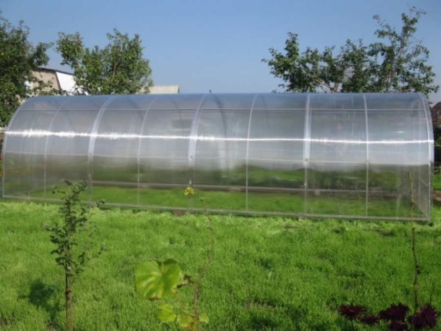 Теплицы Арочные